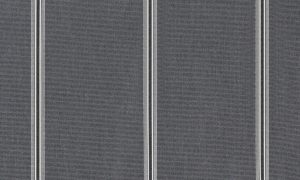 Randig Elegans